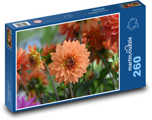 Jiřina - oranžový kvet, kvetina Puzzle 260 dielikov - 41 x 28,7 cm 