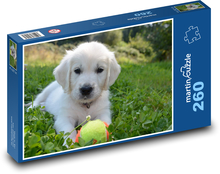Puppy with Ball - Golden Retriever Puzzle 260 pieces - 41 x 28.7 cm 