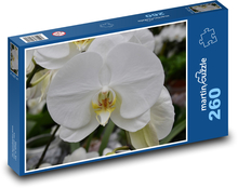 Bílá orchidej - květina, květ Puzzle 260 dílků - 41 x 28,7 cm