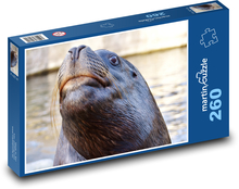Sea lion - animal, water Puzzle 260 pieces - 41 x 28.7 cm 