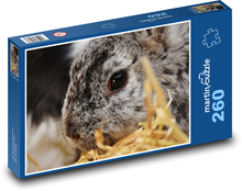 Kaninchen - Haustier, Hase Puzzle 260 Teile - 41 x28,7 cm