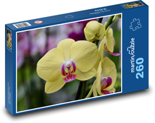 Orchidej - květina, žlutý kvě Puzzle 260 dílků - 41 x 28,7 cm