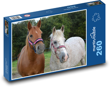 Klacz - koń, zwierzęta Puzzle 260 elementów - 41x28,7 cm