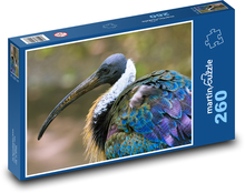 Ibis - bird, zoo Puzzle 260 pieces - 41 x 28.7 cm 