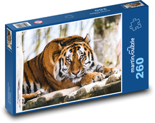 Tiger - animal, zoo Puzzle 260 pieces - 41 x 28.7 cm 