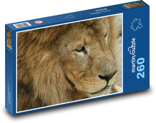 Lev - dravec, hriva Puzzle 260 dielikov - 41 x 28,7 cm