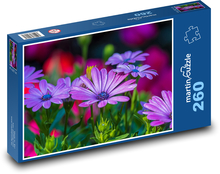 Kopretina - kvetina, záhrada Puzzle 260 dielikov - 41 x 28,7 cm 
