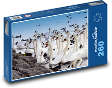 Schwäne - Tier, Teich Puzzle 260 Teile - 41 x28,7 cm