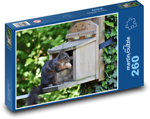 Eichhörnchen - Tier, Wald Puzzle 260 Teile - 41 x28,7 cm
