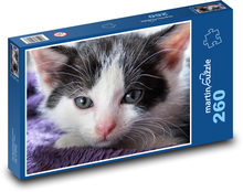 Kot - kotek, zwierzak Puzzle 260 elementów - 41x28,7 cm