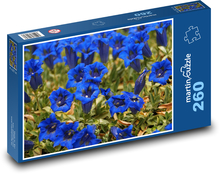 Gentian - blue flower, flower Puzzle 260 pieces - 41 x 28.7 cm 