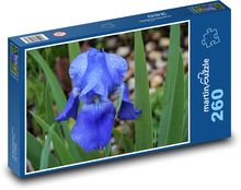 Iris - blue, garden Puzzle 260 pieces - 41 x 28.7 cm