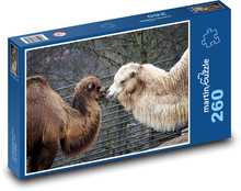 Ťavy - zviera, safari Puzzle 260 dielikov - 41 x 28,7 cm 
