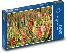 Mečíky - kvety, záhrada Puzzle 260 dielikov - 41 x 28,7 cm 