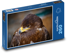 Orol - dravý vták Puzzle 260 dielikov - 41 x 28,7 cm 
