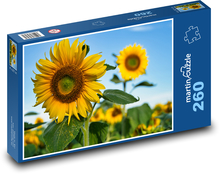 Sunflower - summer, yellow flower Puzzle 260 pieces - 41 x 28.7 cm 