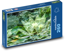 Lekná - vodné rastliny, jazero Puzzle 260 dielikov - 41 x 28,7 cm