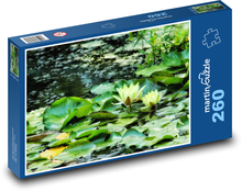 Gelbe Seerosen - Wasserpflanzen, Natur Puzzle 260 Teile - 41 x28,7 cm