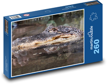 Krokodýl - plaz, voda Puzzle 260 dílků - 41 x 28,7 cm