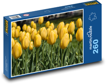 Žluté tulipány - jarní květiny, zahrada Puzzle 260 dílků - 41 x 28,7 cm