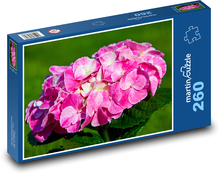 Hortensja różowa - kwiat, wiosna Puzzle 260 elementów - 41x28,7 cm