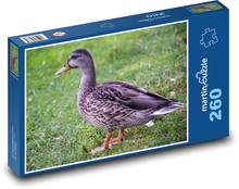 Duck - bird Puzzle 260 pieces - 41 x 28.7 cm 
