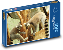 Opica - makak, ZOO Puzzle 260 dielikov - 41 x 28,7 cm