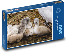 Schwäne - Junge, Tier Puzzle 260 Teile - 41 x28,7 cm