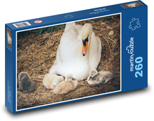 Labuť - mládě, pták Puzzle 260 dílků - 41 x 28,7 cm