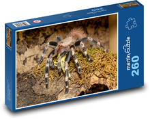 Tarantule - sklípkan, pavouk Puzzle 260 dílků - 41 x 28,7 cm