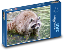 Waschbär - Bär, Wasser Puzzle 260 Teile - 41 x28,7 cm