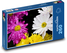 Gänseblümchen - Blütenhasel, Garten Puzzle 260 Teile - 41 x28,7 cm