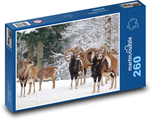 Muflon - zima, zwierzę Puzzle 260 elementów - 41x28,7 cm