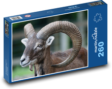 Mufflon - Säugetier, Widder Puzzle 260 Teile - 41 x28,7 cm