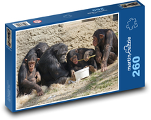 Šimpanz - opice, zvieratá Puzzle 260 dielikov - 41 x 28,7 cm 