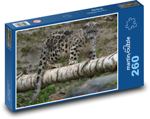 Leopard - dravec, šelma Puzzle 260 dílků - 41 x 28,7 cm