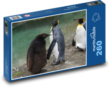 Tučňák - pták, zvíře Puzzle 260 - 41x28,7 cm