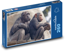 Chimpanzees - monkeys, zoos Puzzle 260 pieces - 41 x 28.7 cm