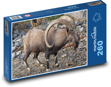 Kozoroh - zvíře, rohy  Puzzle 260 dílků - 41 x 28,7 cm