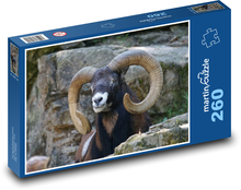 Mufflon - Schaf, Tier Puzzle 260 Teile - 41 x28,7 cm