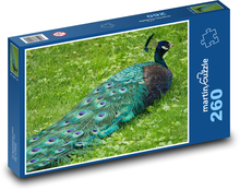 Peacock - bird, garden Puzzle 260 pieces - 41 x 28.7 cm 