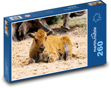 Byvol - divoké zviera, teľa Puzzle 260 dielikov - 41 x 28,7 cm 