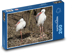 Storks - birds, nature Puzzle 260 pieces - 41 x 28.7 cm 