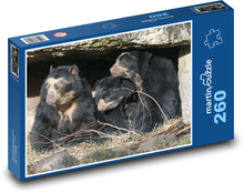 Spectacled bear - family, zoo Puzzle 260 pieces - 41 x 28.7 cm 