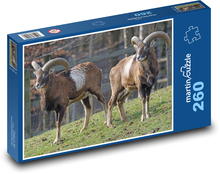 Muflon - přežvýkavec, zvíře Puzzle 260 dílků - 41 x 28,7 cm