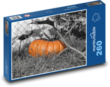Kürbisse - Gemüse, Herbst Puzzle 260 Teile - 41 x28,7 cm
