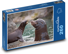 Sea lion - aquatic animal, cub Puzzle 260 pieces - 41 x 28.7 cm 