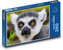 Monkey - lemur, animal Puzzle 260 pieces - 41 x 28.7 cm 