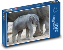 Asian elephant - baby, mammal Puzzle 260 pieces - 41 x 28.7 cm 