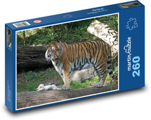 Tygr - dravec, velká kočka Puzzle 260 dílků - 41 x 28,7 cm